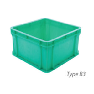 Type B3